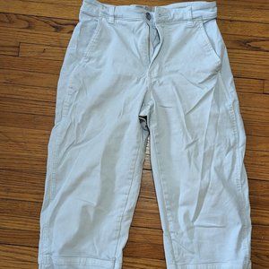 Everlane Utility Barrel Pant (Light Blue, Size 2)